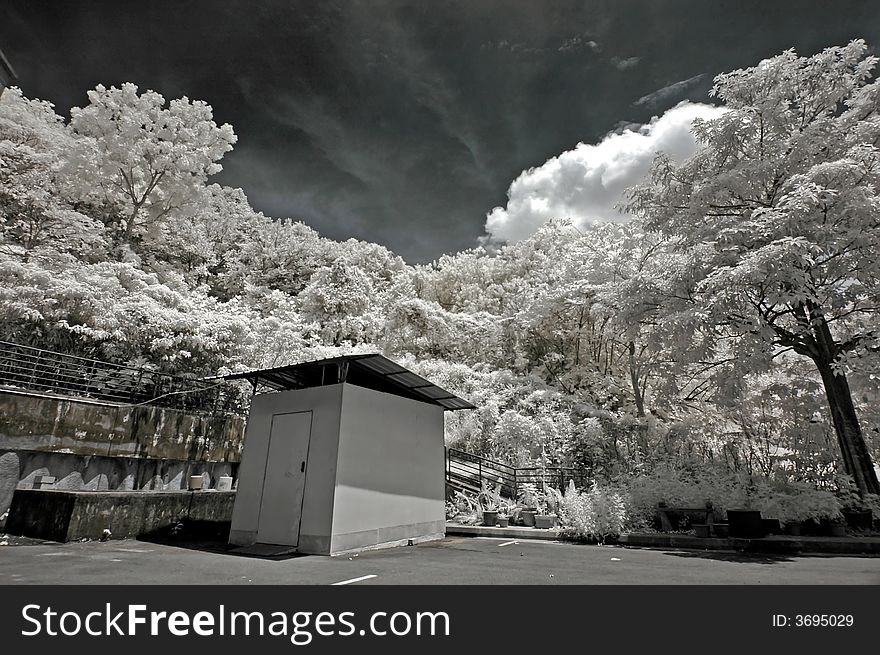 Infrared photo – tree, hut and cloud in the park