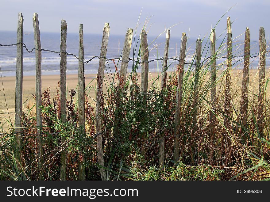 Old fence with different kinds of grass with on the background the north sea. Old fence with different kinds of grass with on the background the north sea.