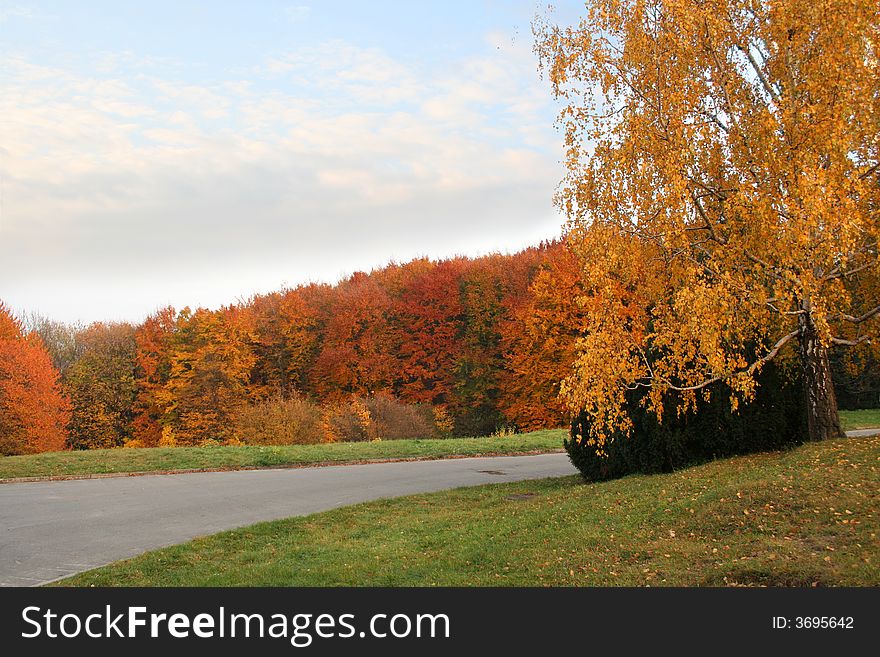 Autumn Avenue