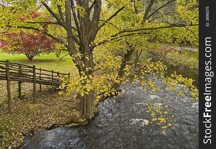 A beautiful Autumn scene along a Pocono Mountains stream in Pennsylvania.