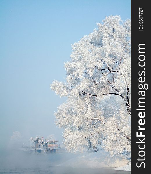 Rimed tree in JiLin City, northeast of China
