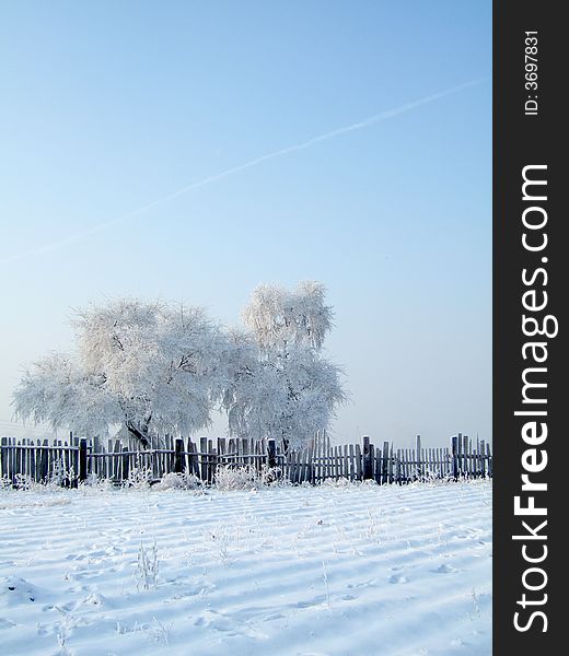 Rimed trees and fense in JiLin City, northeast of China