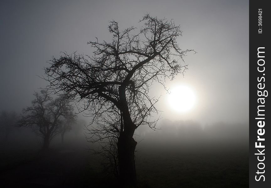 Heavy fog on a winter morning. Heavy fog on a winter morning