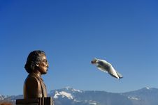 Statue Looks The Bird Stock Image Statue Looks The Bird Stock Image