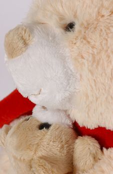 Teddy Bear Royalty Free Stock Image Teddy Bear Royalty Free Stock Image