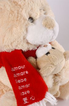 Teddy Bear Royalty Free Stock Photography Teddy Bear Royalty Free Stock Photography