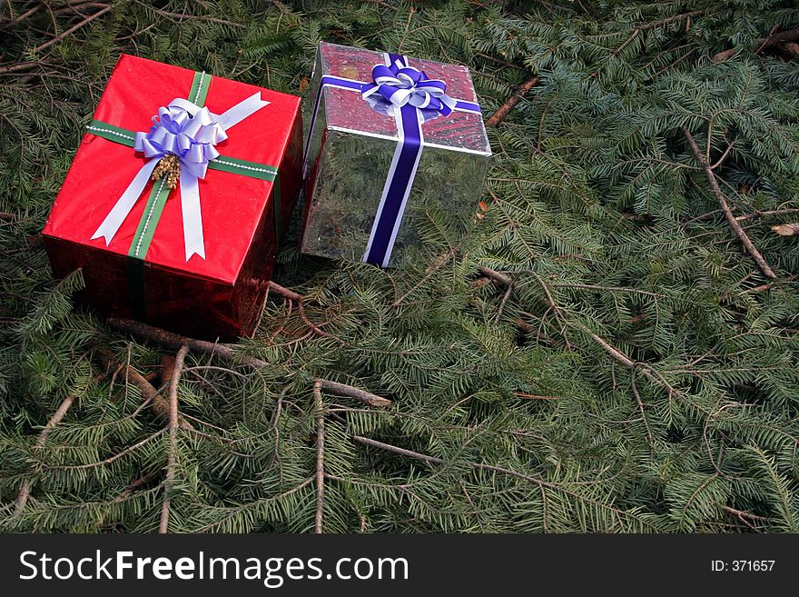 Two Christmas presents on pine tree branches