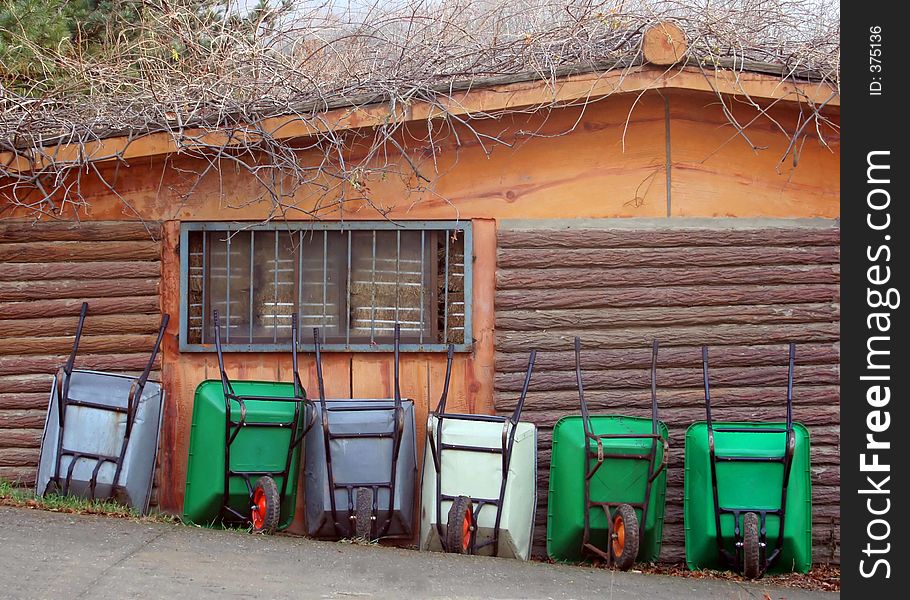 Wheelbarrows lined up against a shed