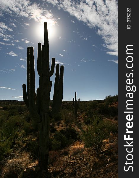 Saguaro silhouette on blue sky with clouds