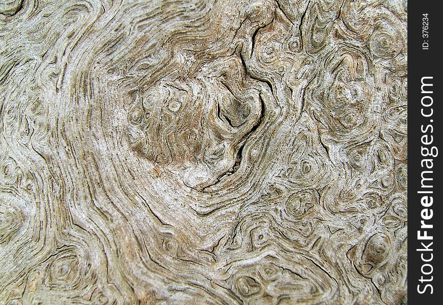 Bark Texture 1