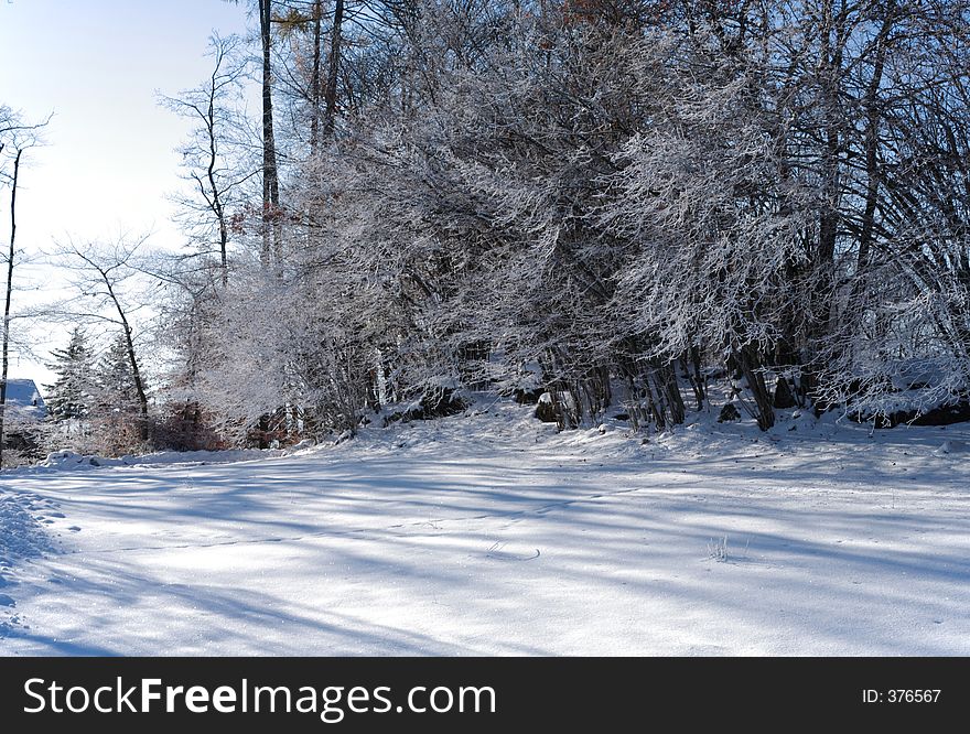 A cottage isolated in a freeze forest. A cottage isolated in a freeze forest