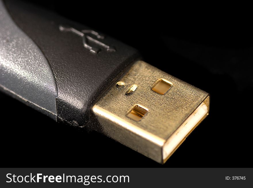 Gold USB plug. Gold USB plug