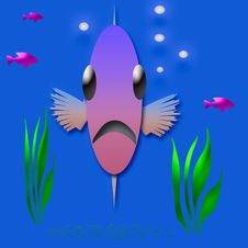 Fish Face Royalty Free Stock Image Fish Face Royalty Free Stock Image
