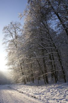 Winter Park Stock Photography Winter Park Stock Photography