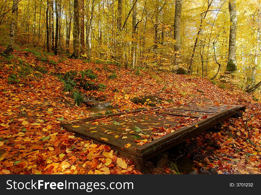 Bolu - Yedigöller (Seven Lakes)  National Park 
Location: The Yedigoller (Seven Lakes) National Park is in the north of the Bolu province, and south of Zonguldak in the western Black Sea region. 
Highlights: The park is the best known for the lakes formed by landslides, the rich plant life which gives dense coverage to the area, and the abundance of trout living in the lake. The structure of the land, which has tendencies to subside, is the main factor in the lake’s formation. 
The dominant plant cover is beech trees, and there are also oaks, hornbeams, alders, black pine, Scotch pine, firs elm and lime trees. As a result of effective protection of plant and animal life, the animals inside the park like deer, pigs, wolves, foxes and squirrels are increasing in number. There is also a deer protection area. 
This area saw the first cultured trout farm in Turkey, established in 1969, and as a result trout fishing is a popular activity. The sightseeing tower at Kapankaya, inside the park, offers a great opportunity to view a wide area over the lakes and unique landscape. One of the most famous items is the monumental tree signboard on the way to the tower. 
Facilities: Within the park are guest-houses, bungalows, tents and caravans, as well as cafes and restaurants. Bolu - Yedigöller (Seven Lakes)  National Park 
Location: The Yedigoller (Seven Lakes) National Park is in the north of the Bolu province, and south of Zonguldak in the western Black Sea region. 
Highlights: The park is the best known for the lakes formed by landslides, the rich plant life which gives dense coverage to the area, and the abundance of trout living in the lake. The structure of the land, which has tendencies to subside, is the main factor in the lake’s formation. 
The dominant plant cover is beech trees, and there are also oaks, hornbeams, alders, black pine, Scotch pine, firs elm and lime trees. As a result of effective protection of plant and animal life, the animals inside the park like deer, pigs, wolves, foxes and squirrels are increasing in number. There is also a deer protection area. 
This area saw the first cultured trout farm in Turkey, established in 1969, and as a result trout fishing is a popular activity. The sightseeing tower at Kapankaya, inside the park, offers a great opportunity to view a wide area over the lakes and unique landscape. One of the most famous items is the monumental tree signboard on the way to the tower. 
Facilities: Within the park are guest-houses, bungalows, tents and caravans, as well as cafes and restaurants.