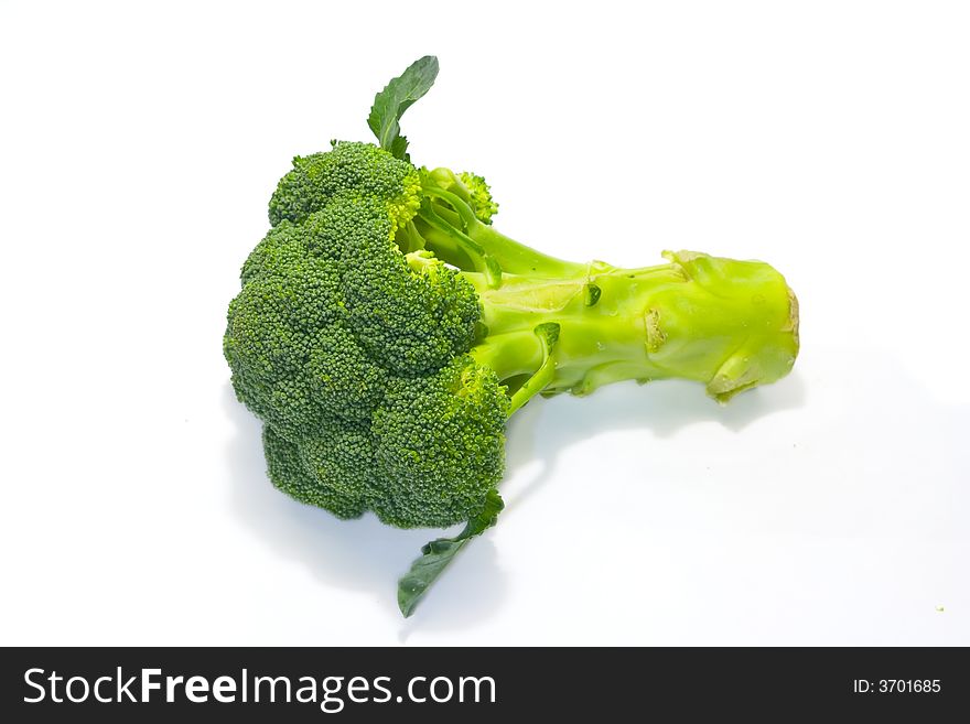Branch of broccoli isolated with white background. Branch of broccoli isolated with white background