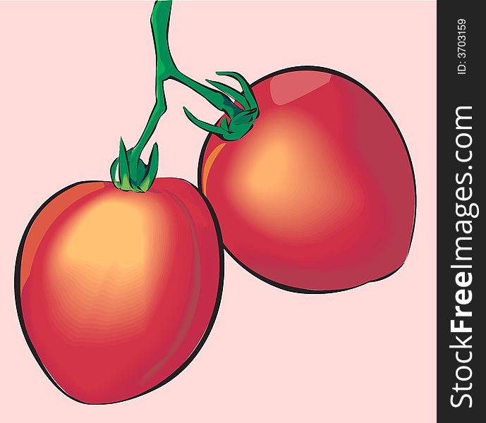 Illustration of two fresh Tomatoes