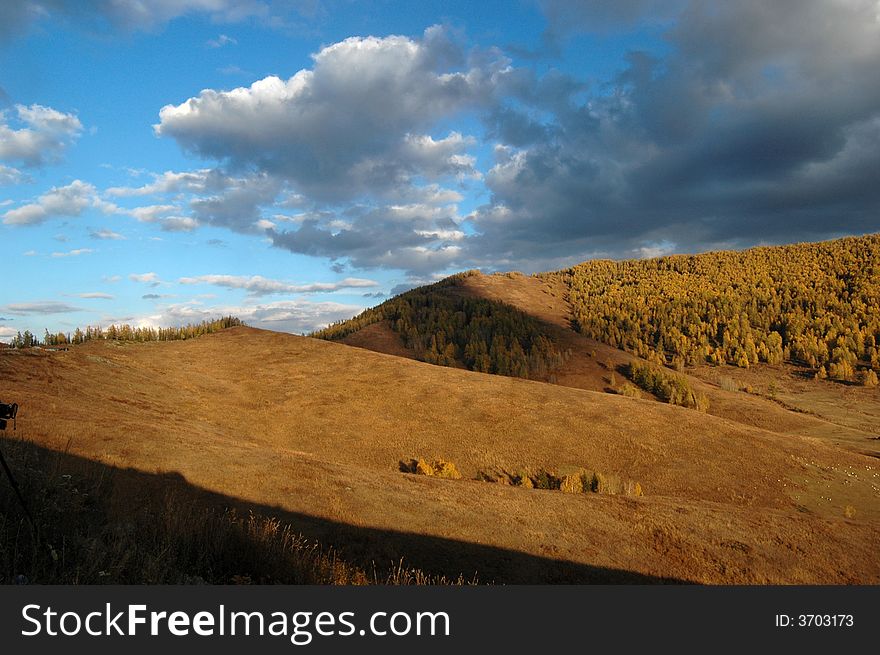 Farmland