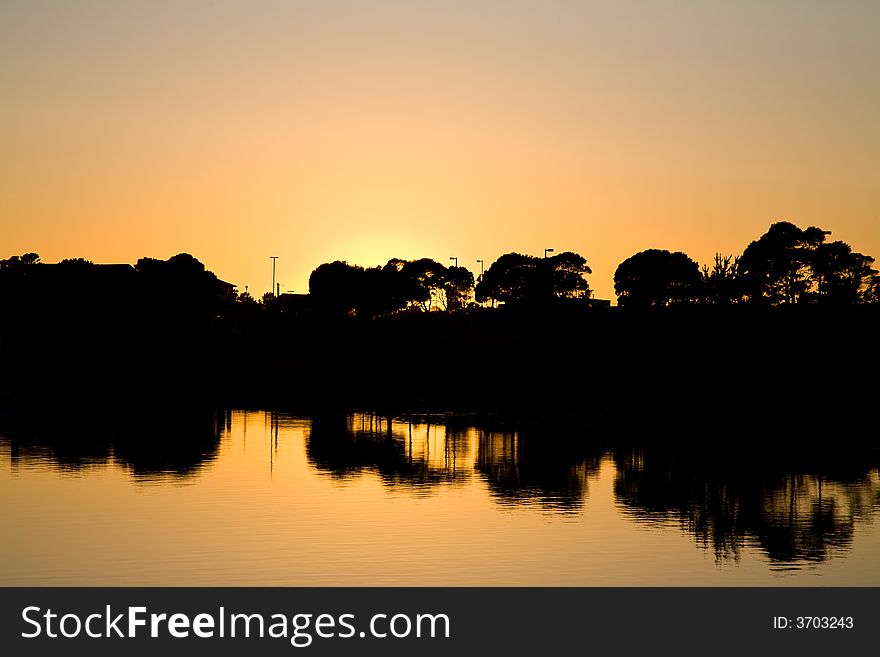 Silhouette of trees near harbor at sunset. Silhouette of trees near harbor at sunset