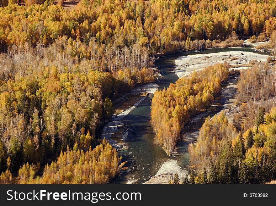 On the way from Tiereketi to Baihaba,  trees in the river give the shape of Taiwuan Island
Northern Xinjiang, China 
October, 2007. On the way from Tiereketi to Baihaba,  trees in the river give the shape of Taiwuan Island
Northern Xinjiang, China 
October, 2007