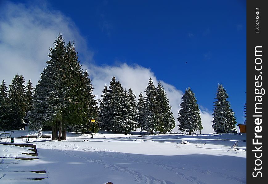 Winter landscape with snow, trees and blue sky