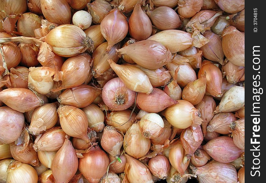Fresh organic onions on the market