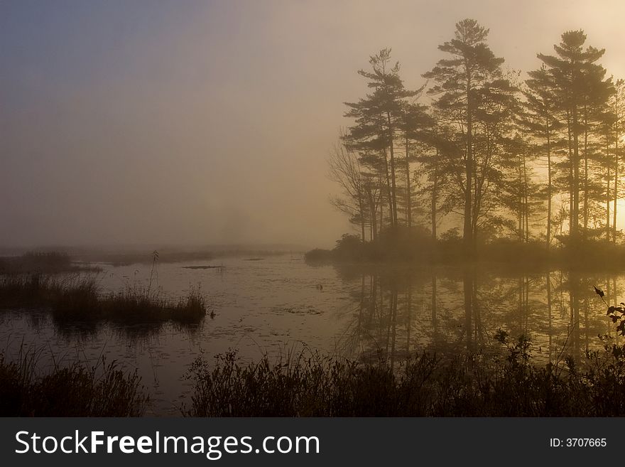 Back-lit trees by a fog covered lake in New England. Back-lit trees by a fog covered lake in New England.