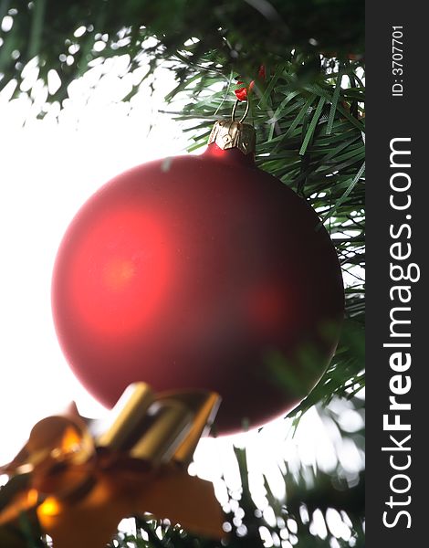 Red ball hanging from christmas tree.
