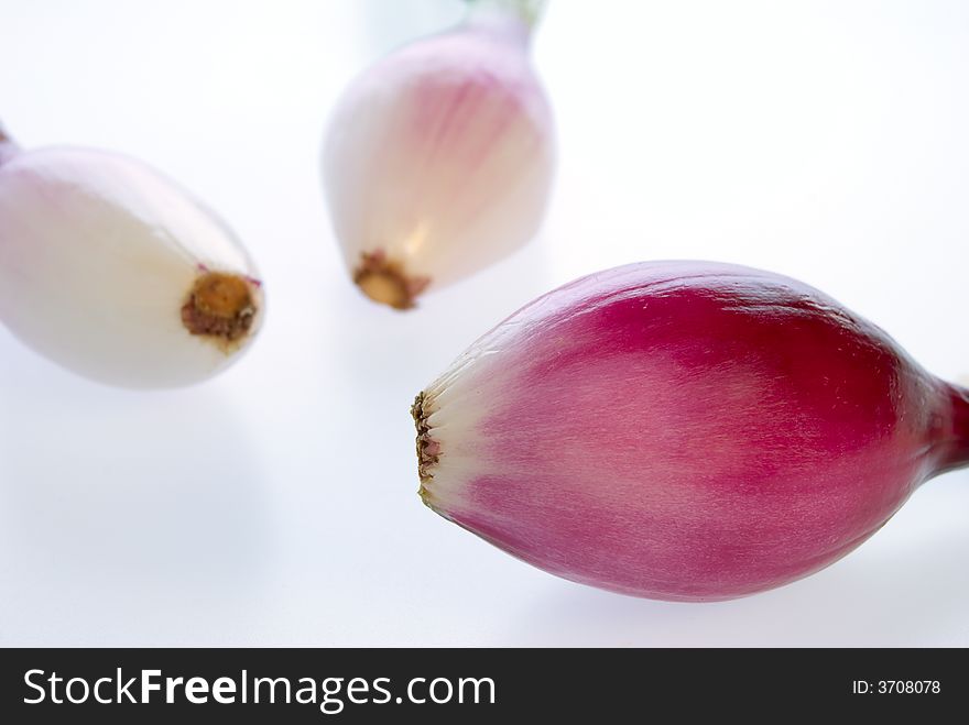 Three typical onions from the italian region of Calabria on a white background with short DOF and clipping path. Three typical onions from the italian region of Calabria on a white background with short DOF and clipping path