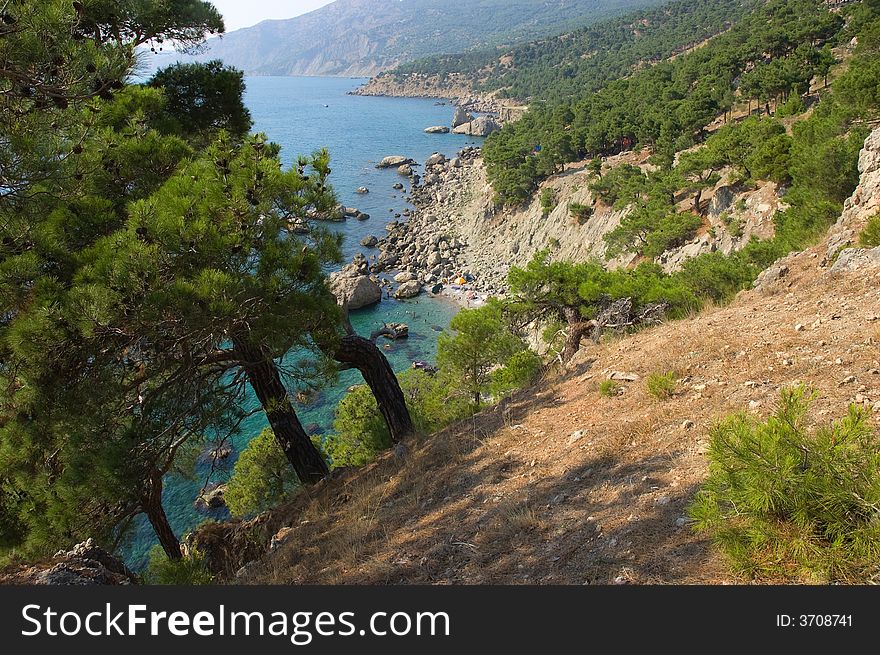 View To Wild Sea Coast