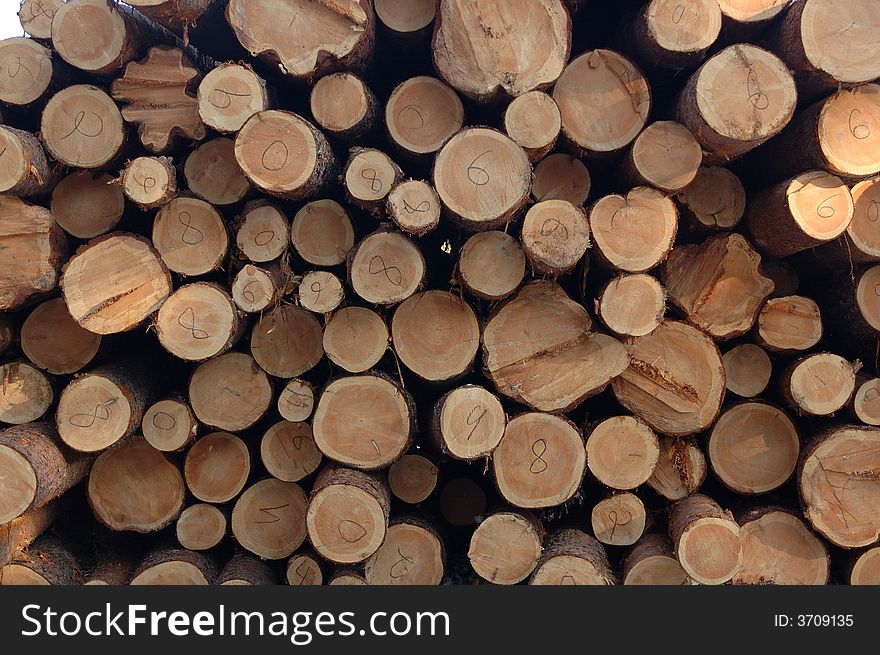 Stack of wood at lumbermill