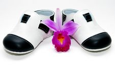 Baby Shoes Royalty Free Stock Image Baby Shoes Royalty Free Stock Image