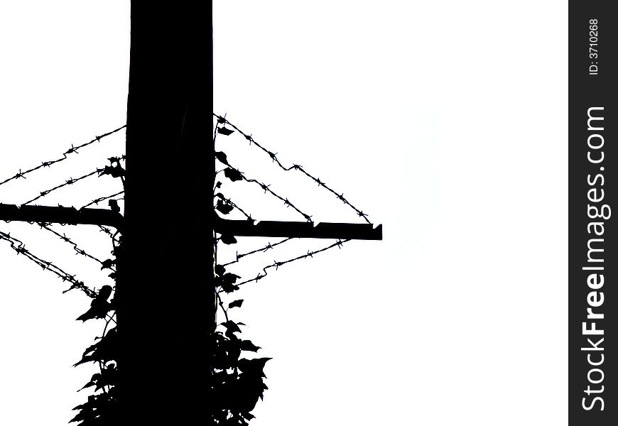 Silhouette of top or telegraph pole with barbed wire. Silhouette of top or telegraph pole with barbed wire