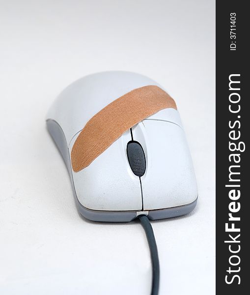 The white mouse with a wheel on a white background