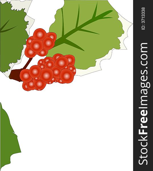 Holly leaves with red berries decoration