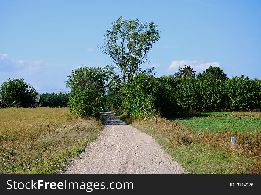 Empty road, trees and blue sky