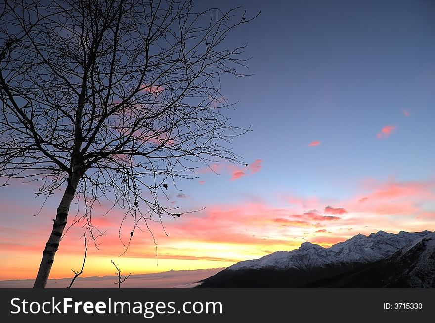 Silhouette of tree at sunset, mountain scenic. Silhouette of tree at sunset, mountain scenic.