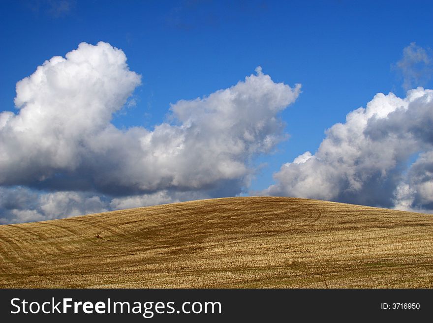 An autumn wheat field with a nice sky.