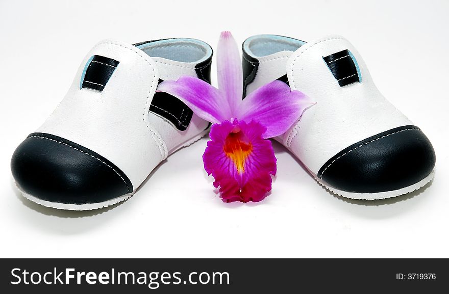 Baby shoes image on the white background
