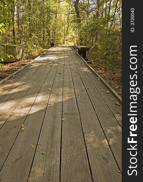 A wooden plank trail leading through the forest. A wooden plank trail leading through the forest