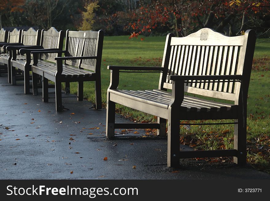 Empty park benches in Autumn. Empty park benches in Autumn