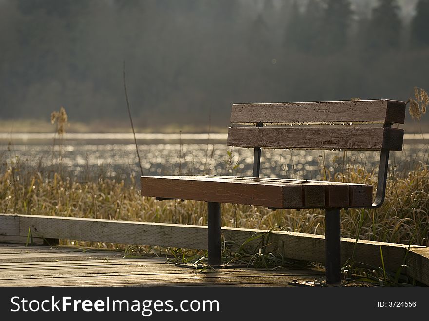 Bench On Lake Walkway