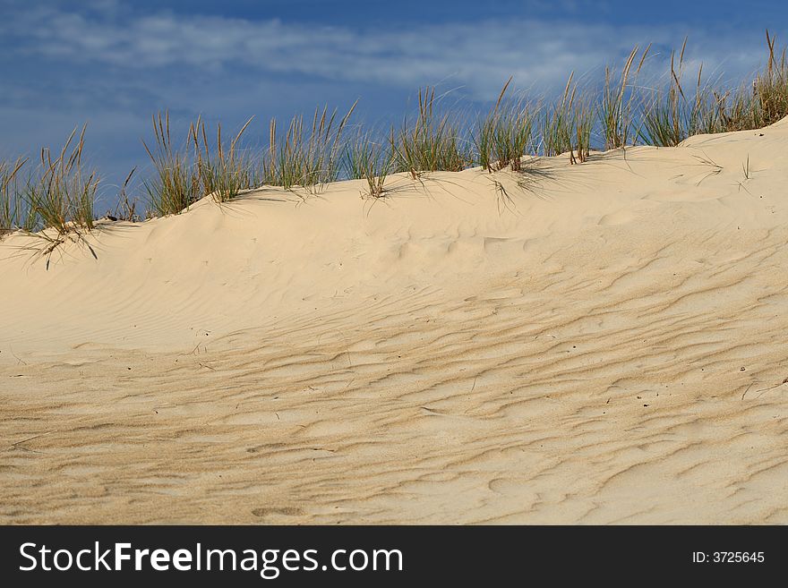 Amazing view of sand dune habitat against deep blue sky, clear, versatile stock image. Amazing view of sand dune habitat against deep blue sky, clear, versatile stock image