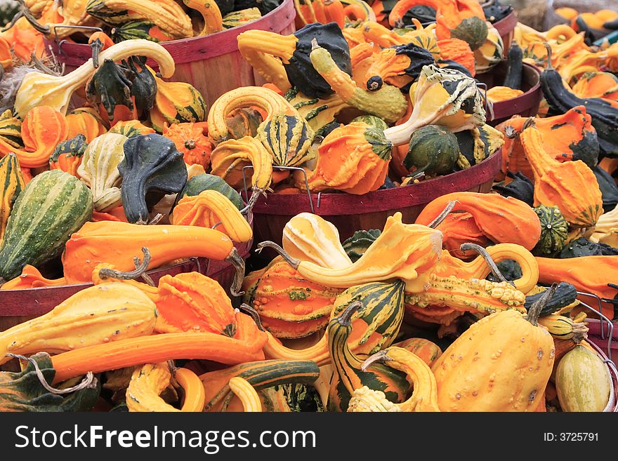 Colorful Autumn Gourds in baskets at a road side farm stand market