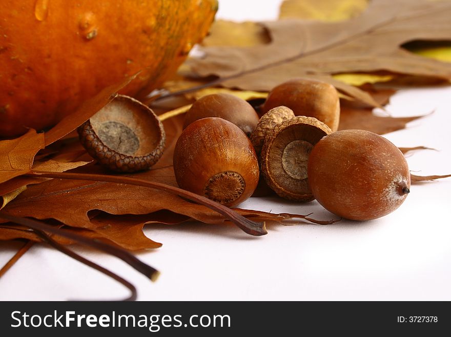 Autumn leaves and acorns frame isolated on white.