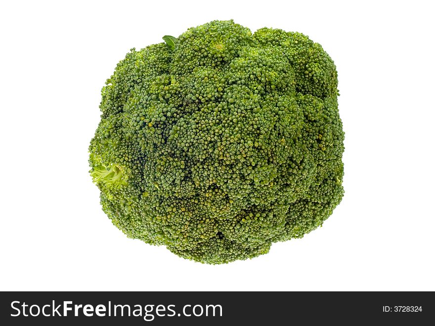 Fresh broccoli isolated on a white background