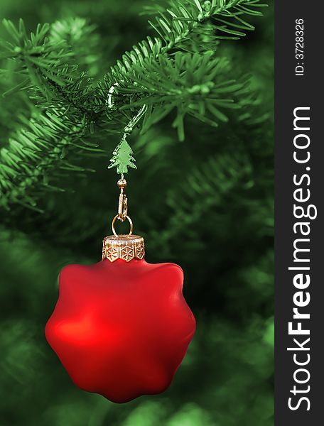 Christmas tree ornamented with a red bauble. Christmas tree ornamented with a red bauble