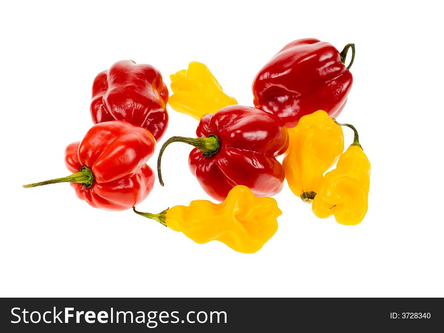 Hot peppers from suriname isolated on a white background