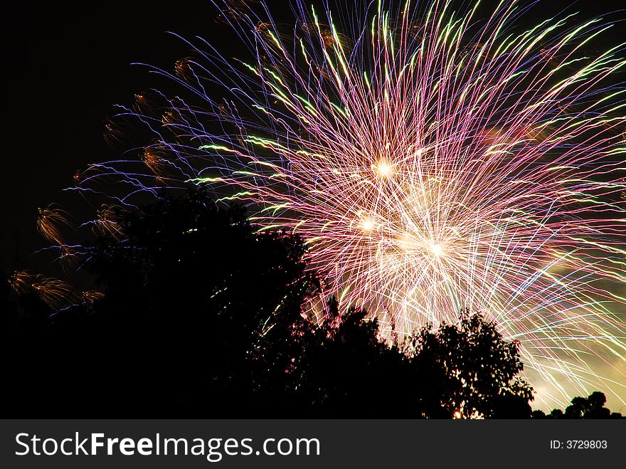 Colorful fireworks with tree silhouette. Colorful fireworks with tree silhouette
