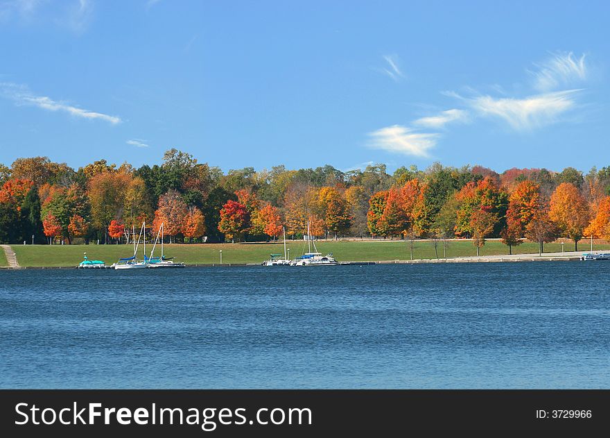 Autumn colored  trees across a lake offset a bright fall day. Autumn colored  trees across a lake offset a bright fall day